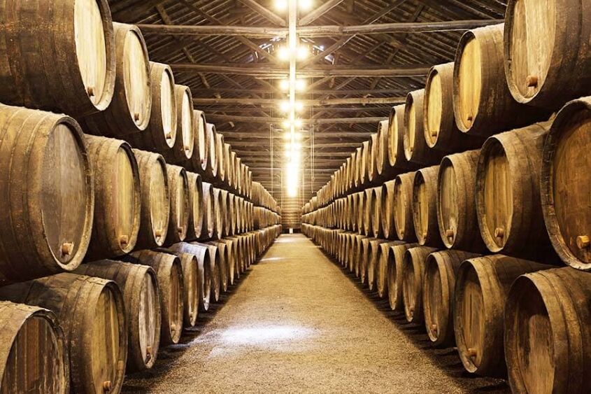 cómo escoger un vino