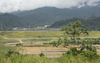 ecosistemas y comunidades en Mirador