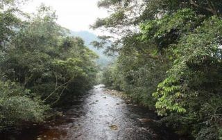 efectos ambientales de Mirador