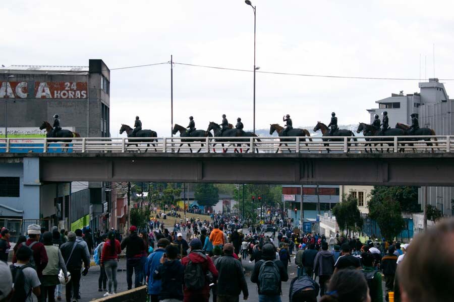 policías en caballos
