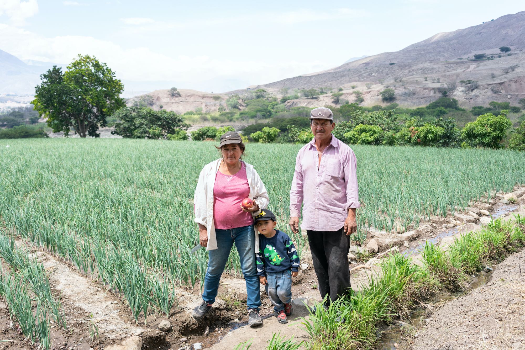 cultivos en desierto