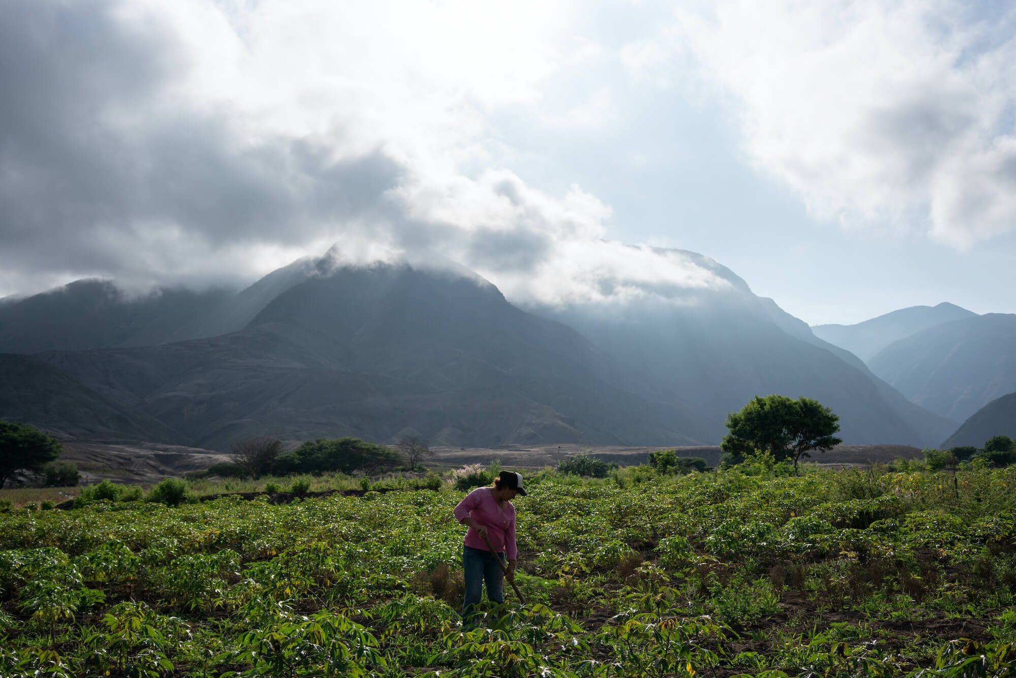 adptación cambio climático