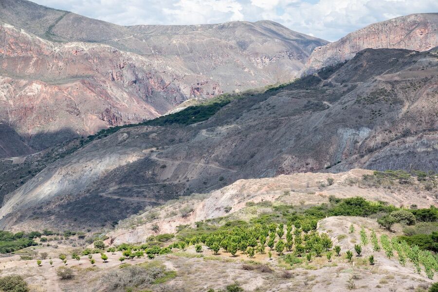 adaptación al cambio climático