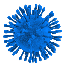 Todo lo que debes saber sobre el coronavirus en Ecuador