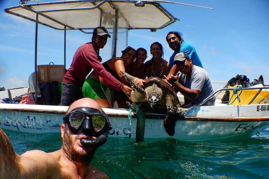 conservación de tortugas carey