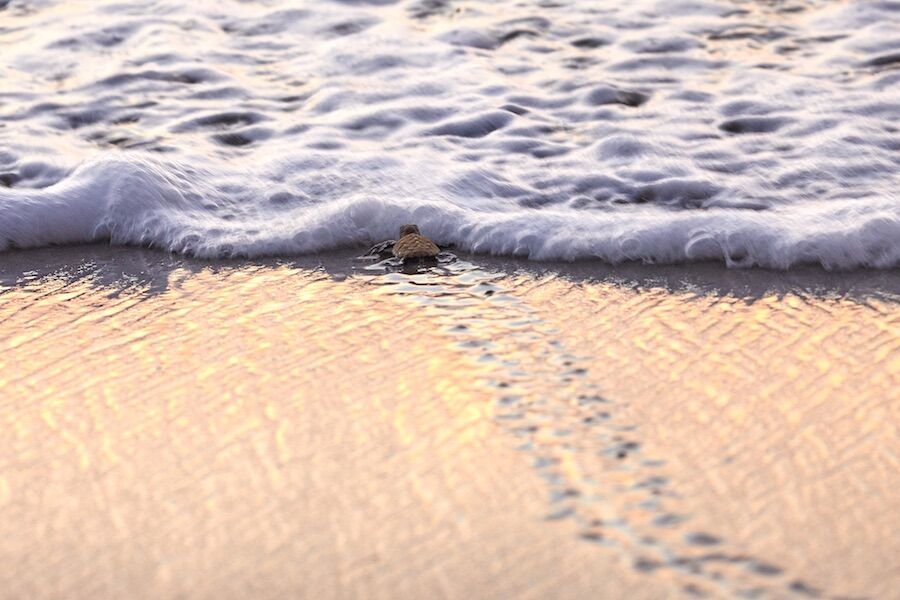 Slide background