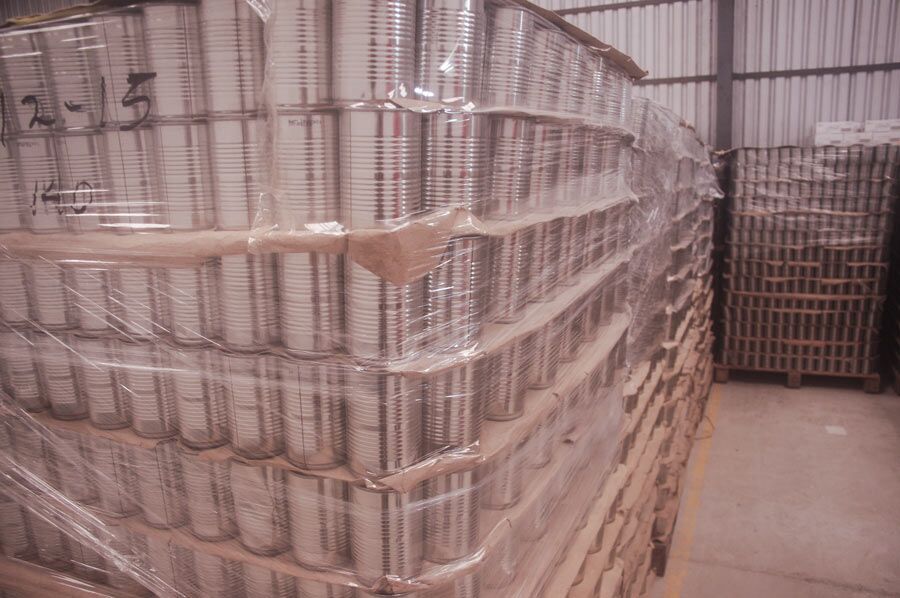 exportación de palmito