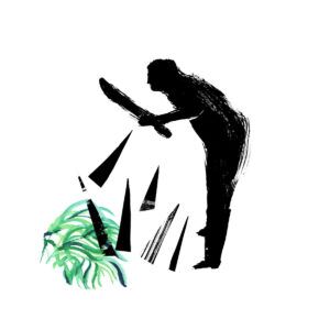agricultor de palmito