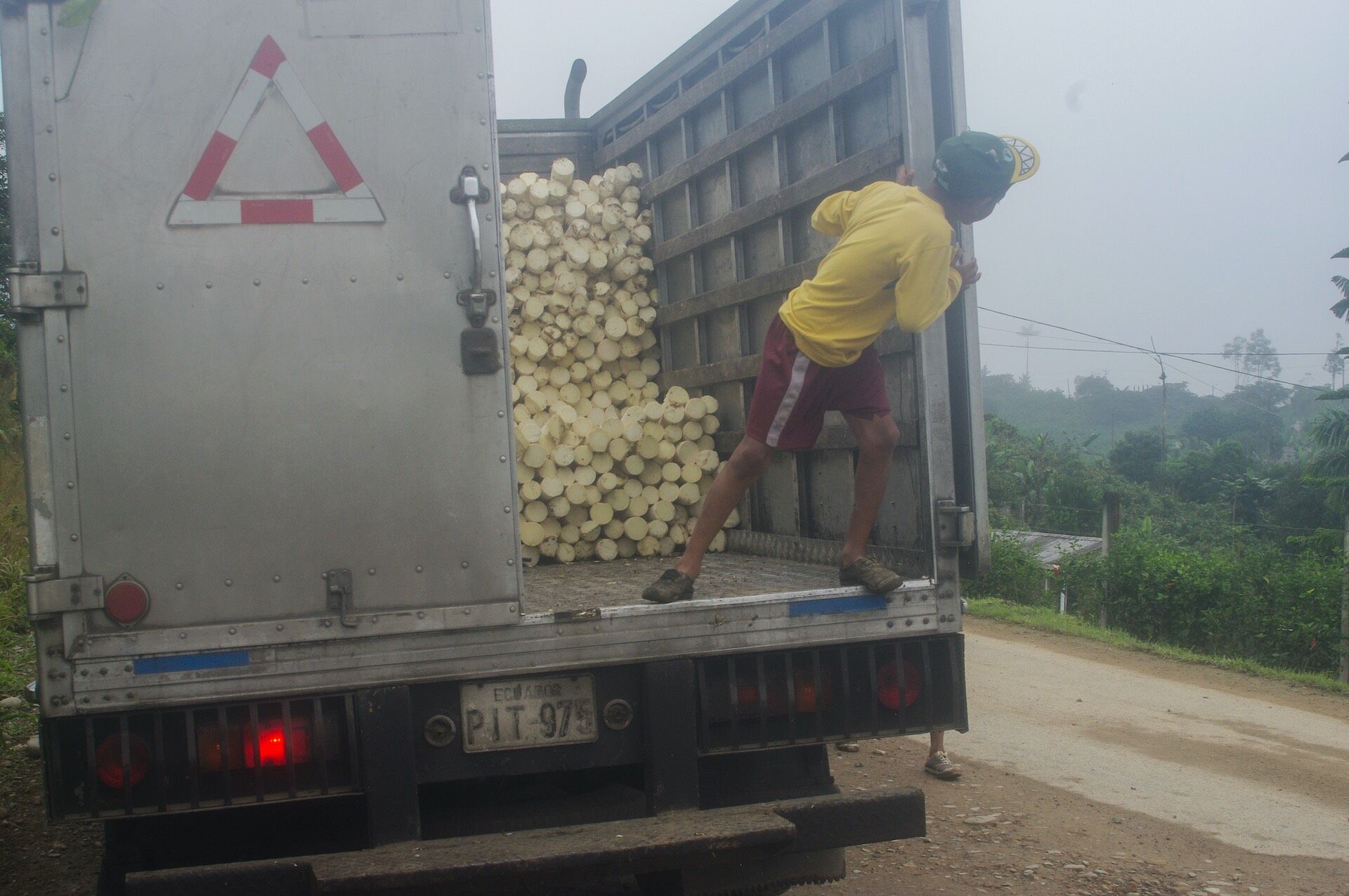 fincas de palmito