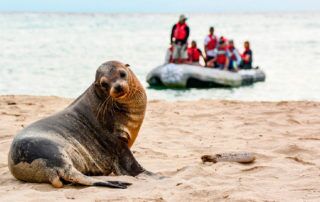 turistas en Galápagos por la pandemia