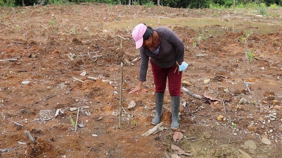 afectada por minería