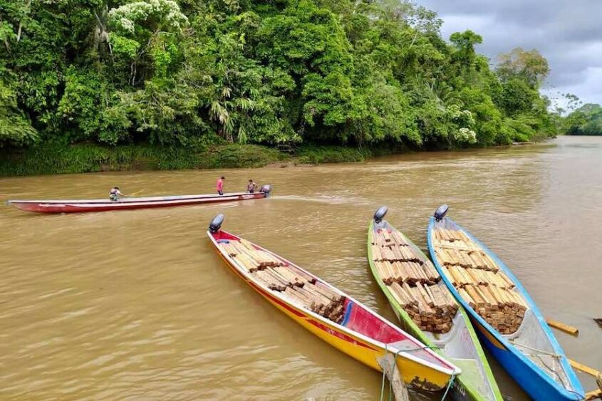 balsa para molinos