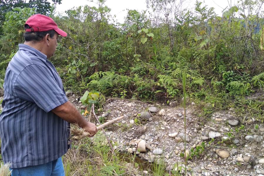 afectado por minería