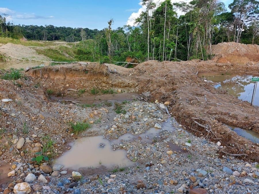 Grupo ambiental Napo ama la vida.
