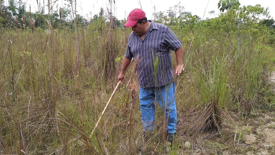 minería en Tena