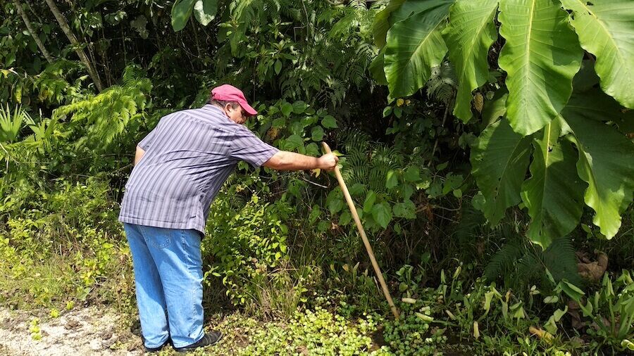 tierra infértil por minería