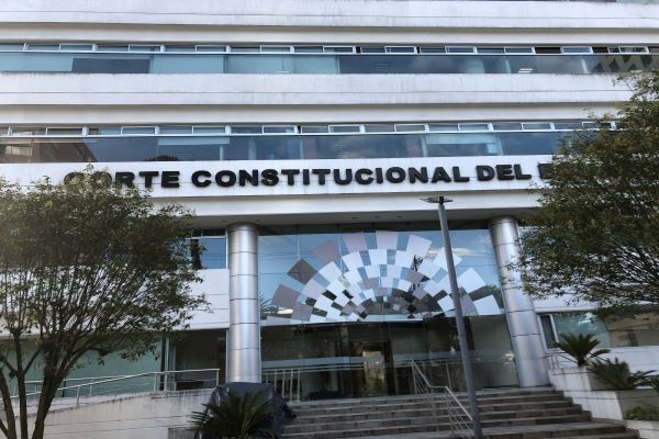 tenencia de los hijos