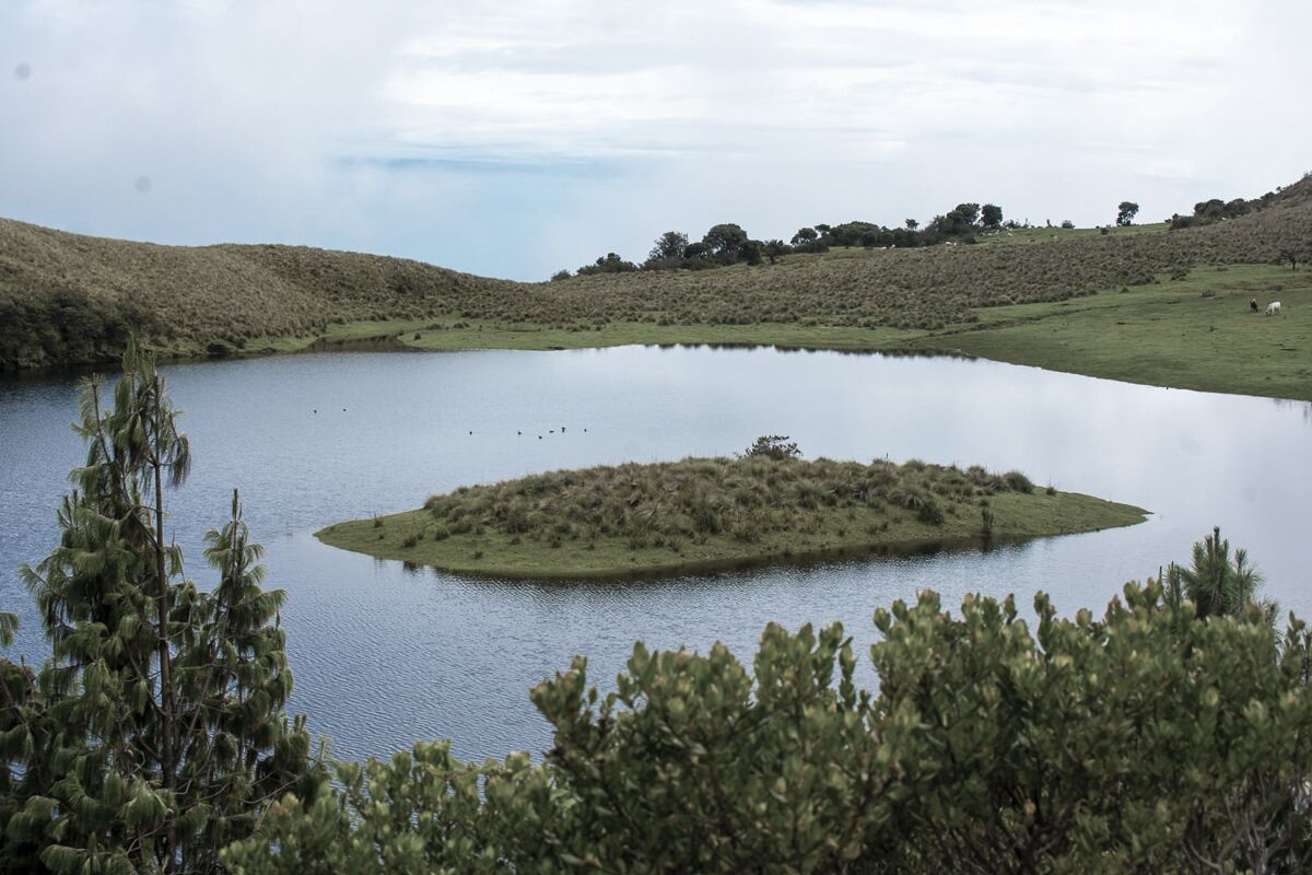laguna de Chimchibí
