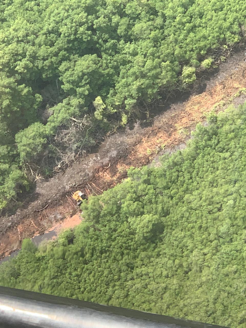 tala del manglar en Guayaquil