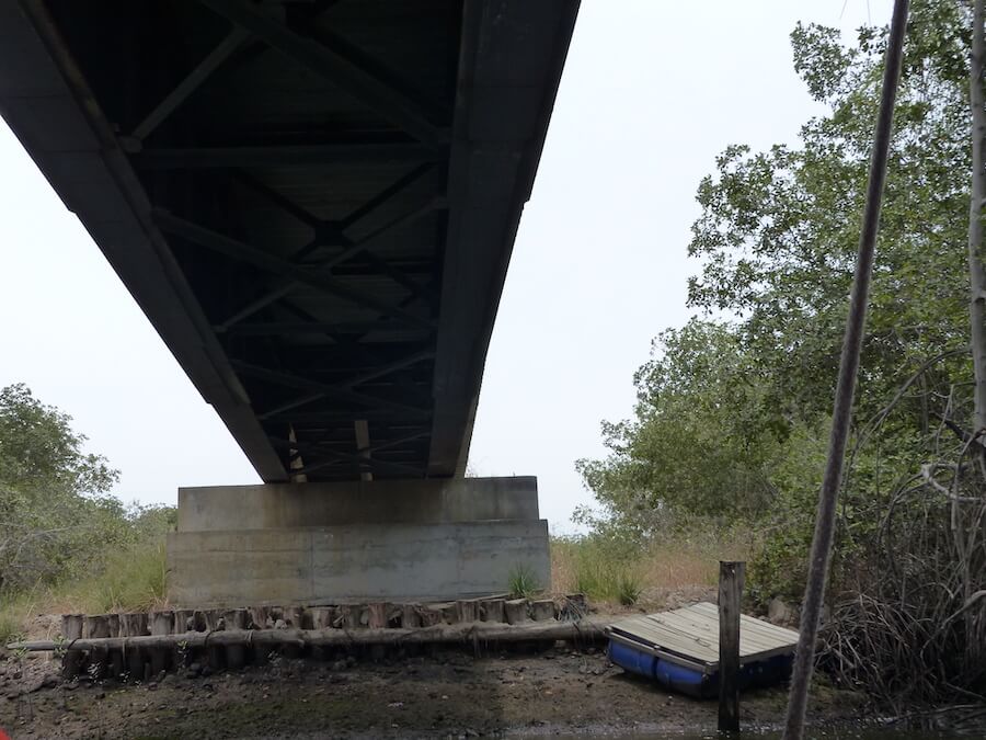 Puente de metal en medio de un bosque protegido de manglar