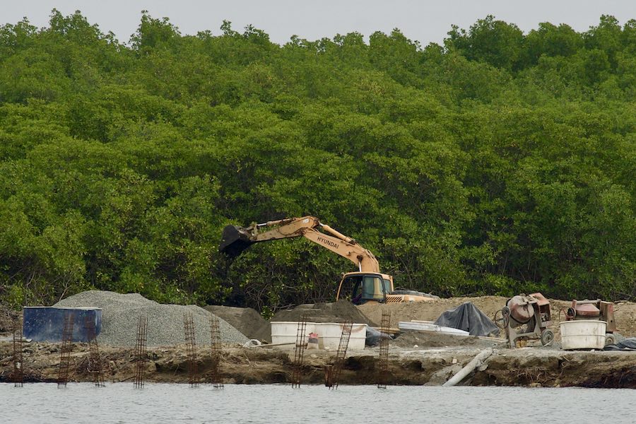 retroexcavadora en el manglar