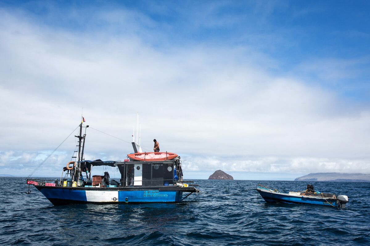 cuidado de Galápagos