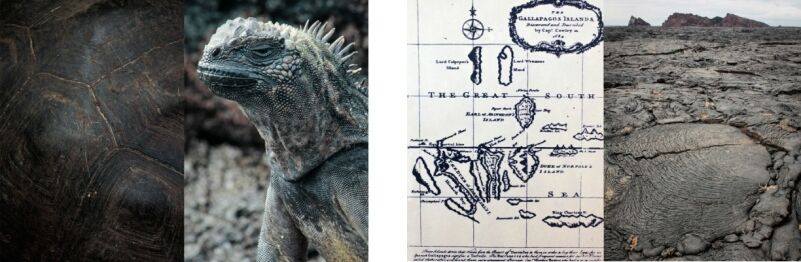 Fauna de Galápagos