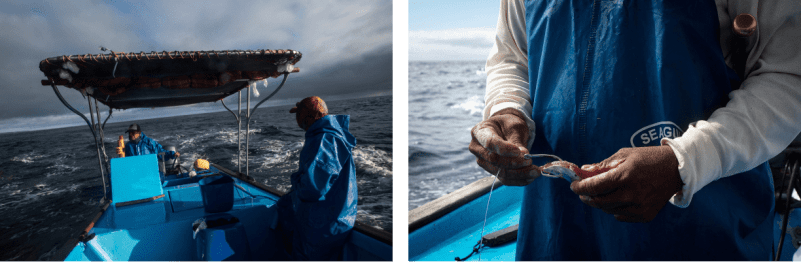 Arte de pesca denominado empate oceánico y lineal