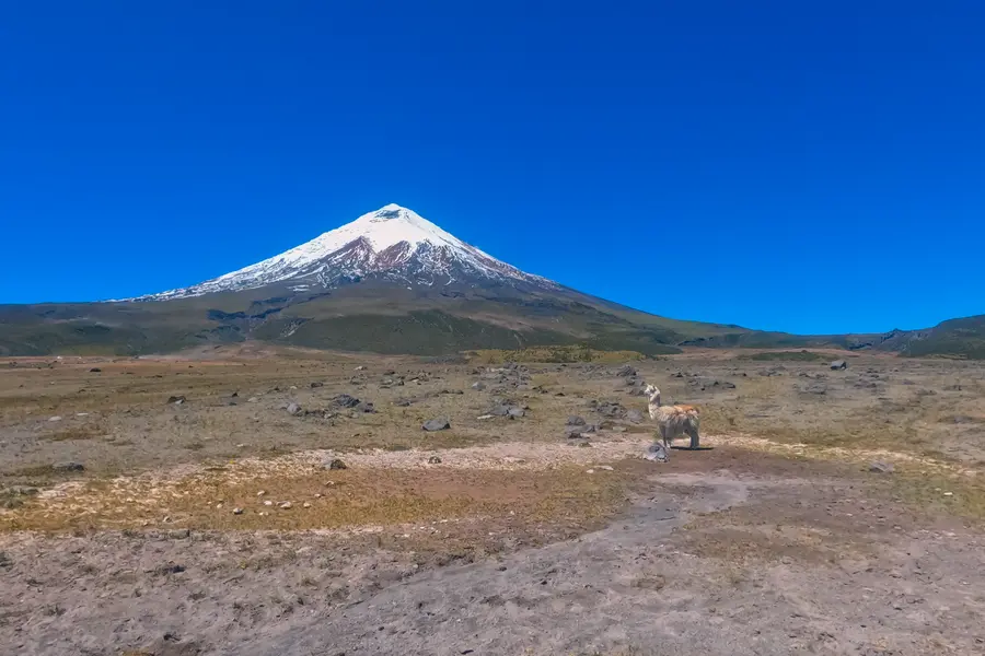 paisaje volcán Cotopaxi