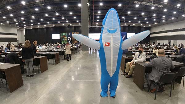 tiburones protegidos Cites