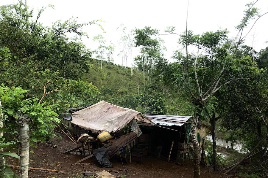 vivienda en Yasuní