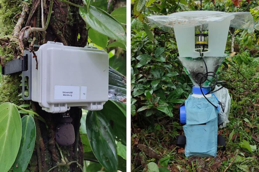 cajas grabación de sonidos y trampas luz