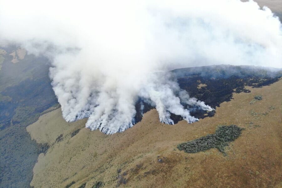 incendios forestales cerros