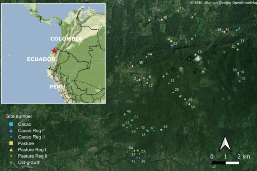 Mapa estudio Mueller et