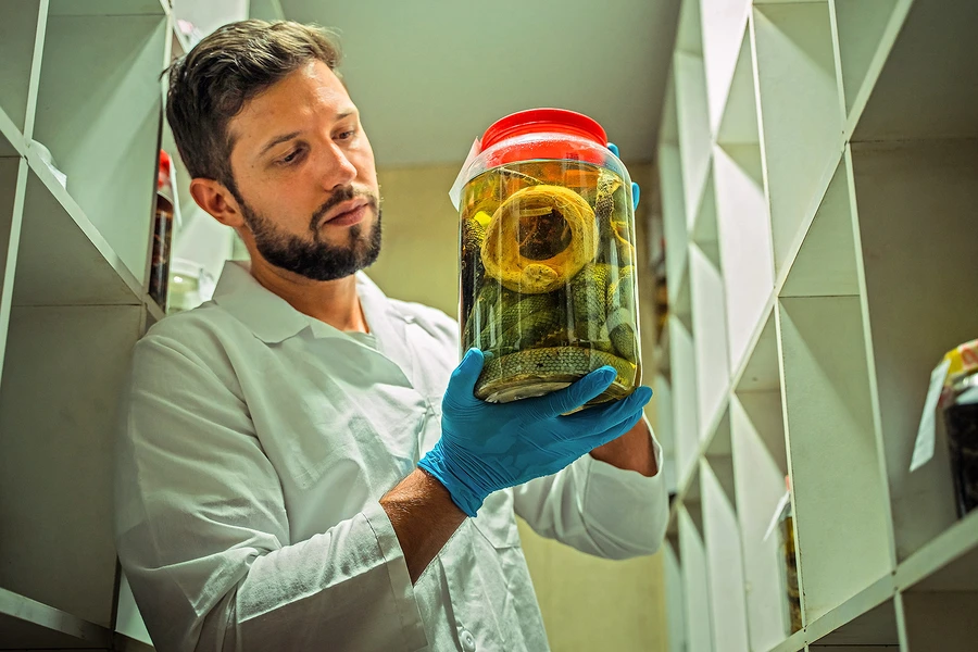Alejandro Arteaga, biologo, víboras de pestañas