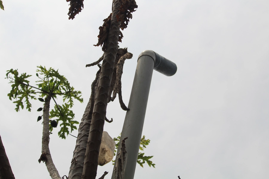 tubo de desfogue