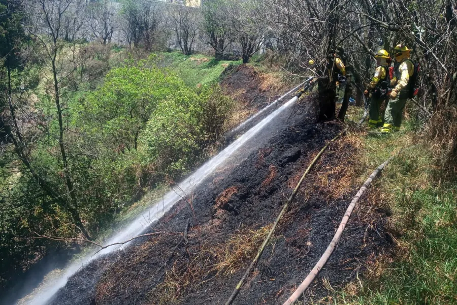 quema vegetación incendios