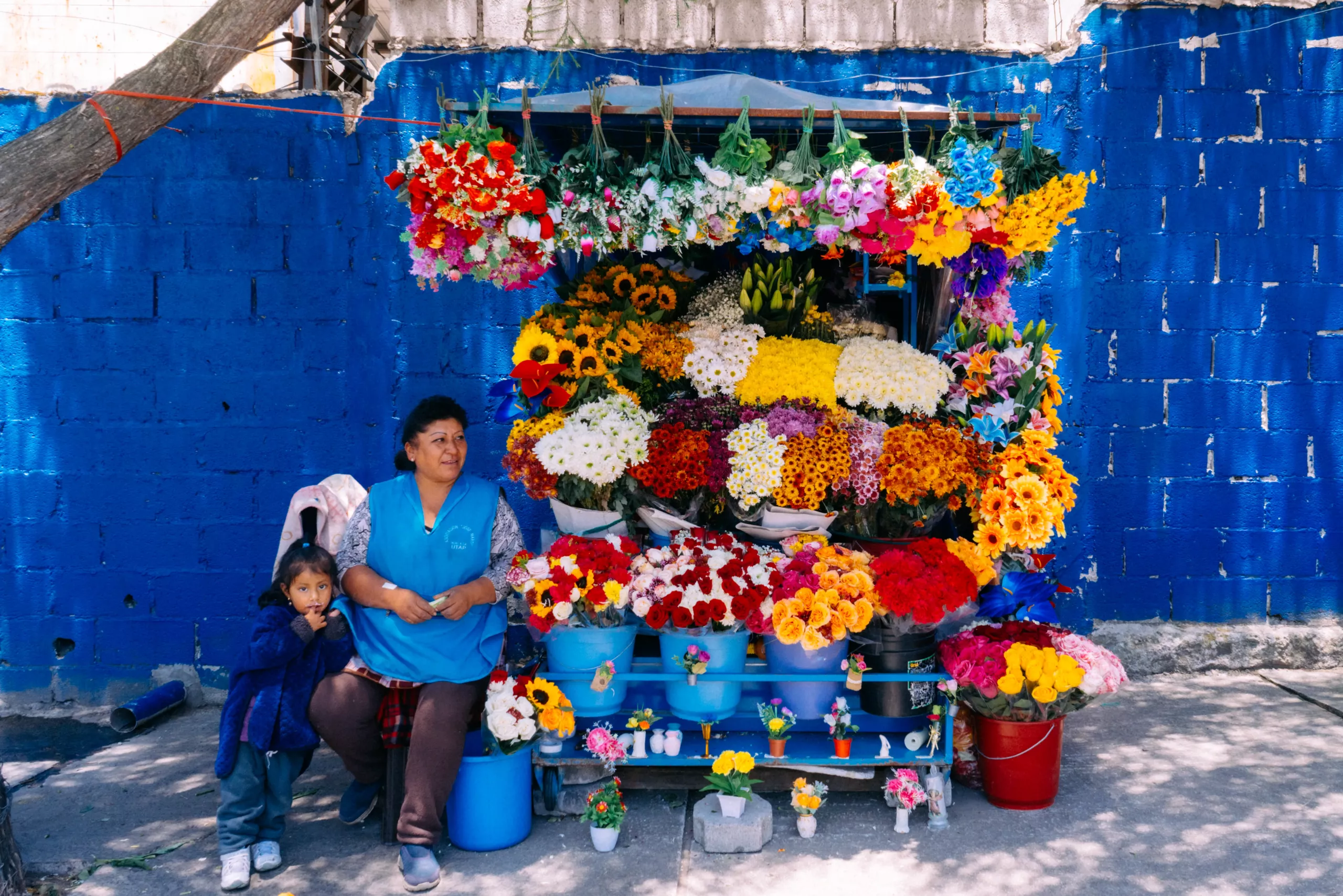 Cecilia Yanchacaiza en su puesto de flores en Quito Cecilia Yanchacaiza en su puesto de flores en Quito
