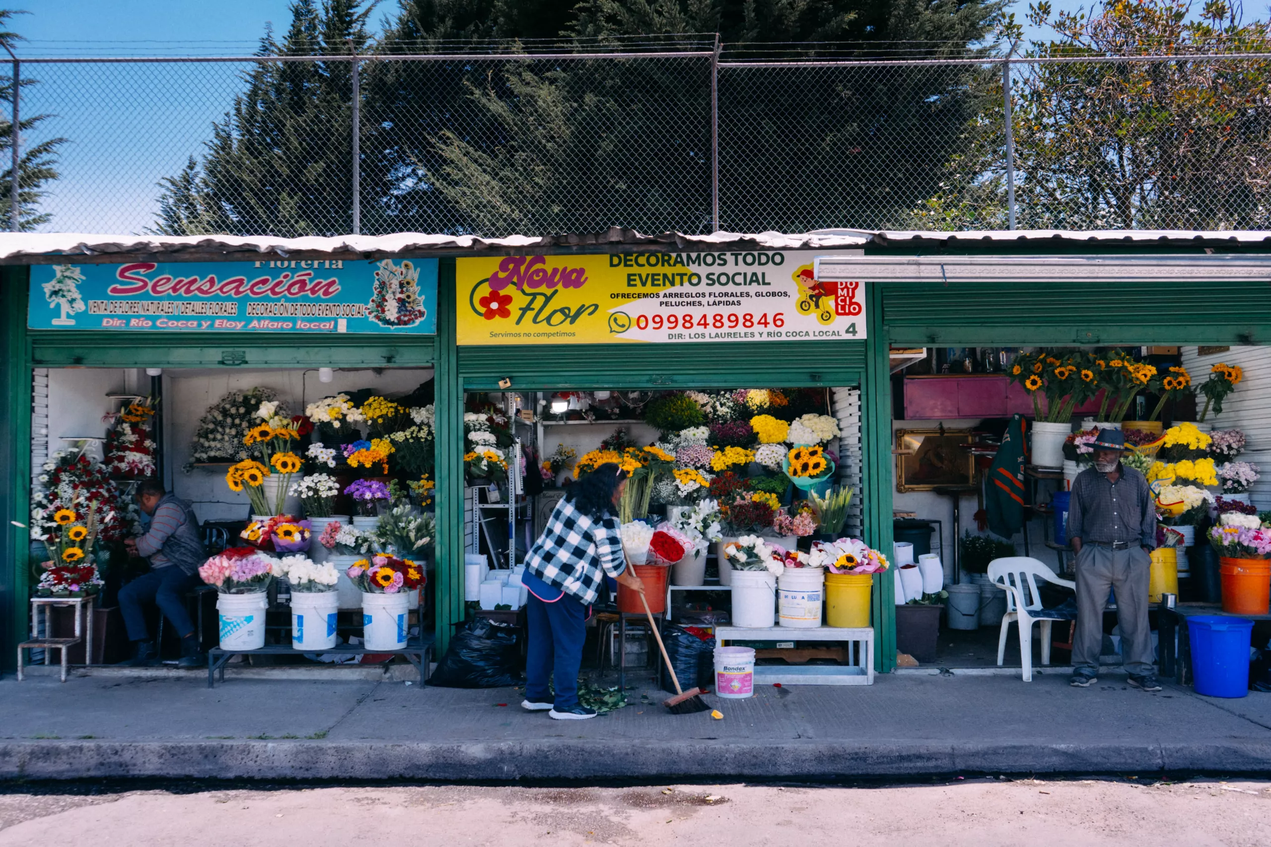 Se venden flores en veredas, calles y avenidas quiteñas FLORES UIO 3 Scaled