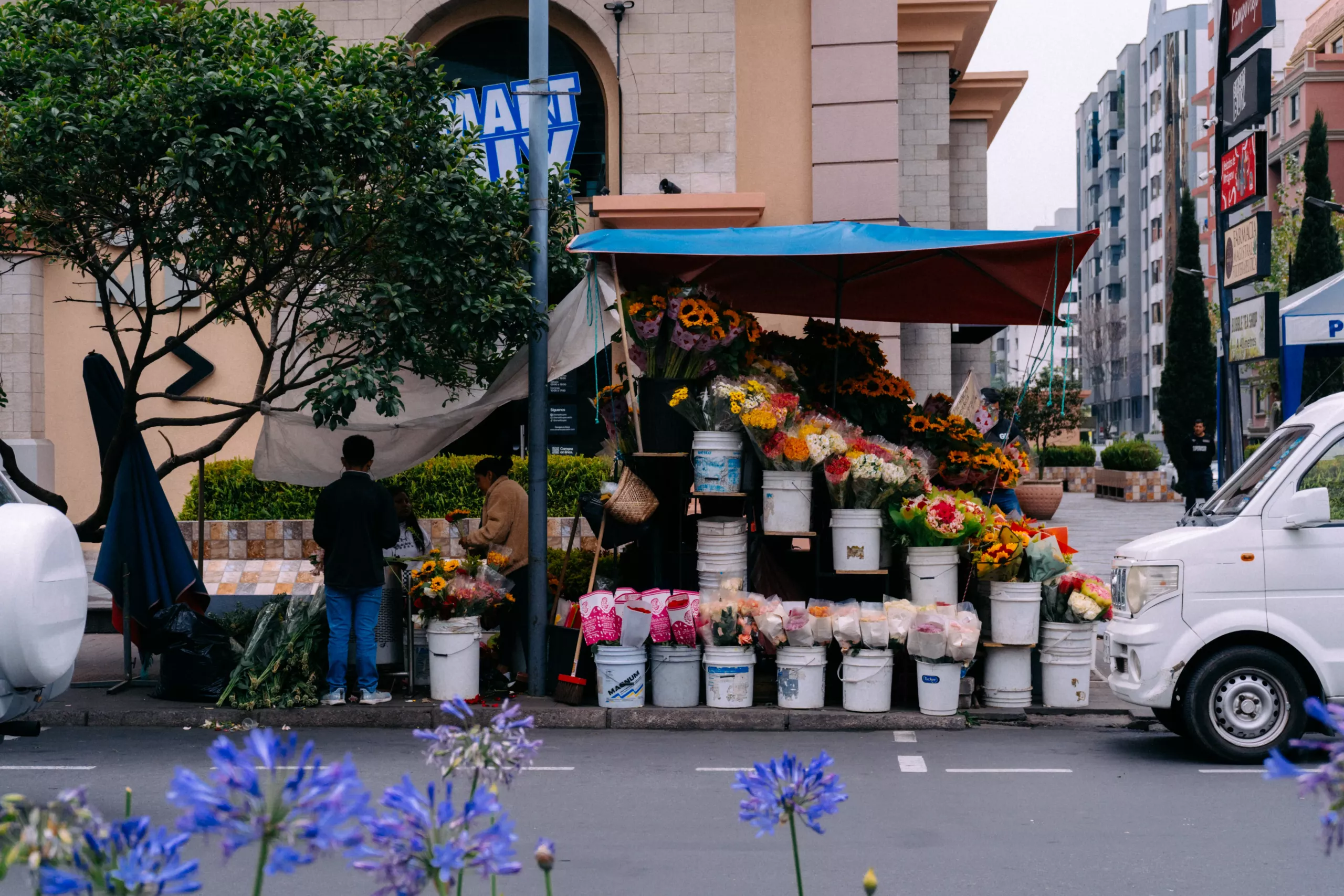 El puesto de flores en la avenida Portugal lleva más de veinte año en su lugar El puesto de flores en la avenida Portugal lleva más de veinte año en su lugar