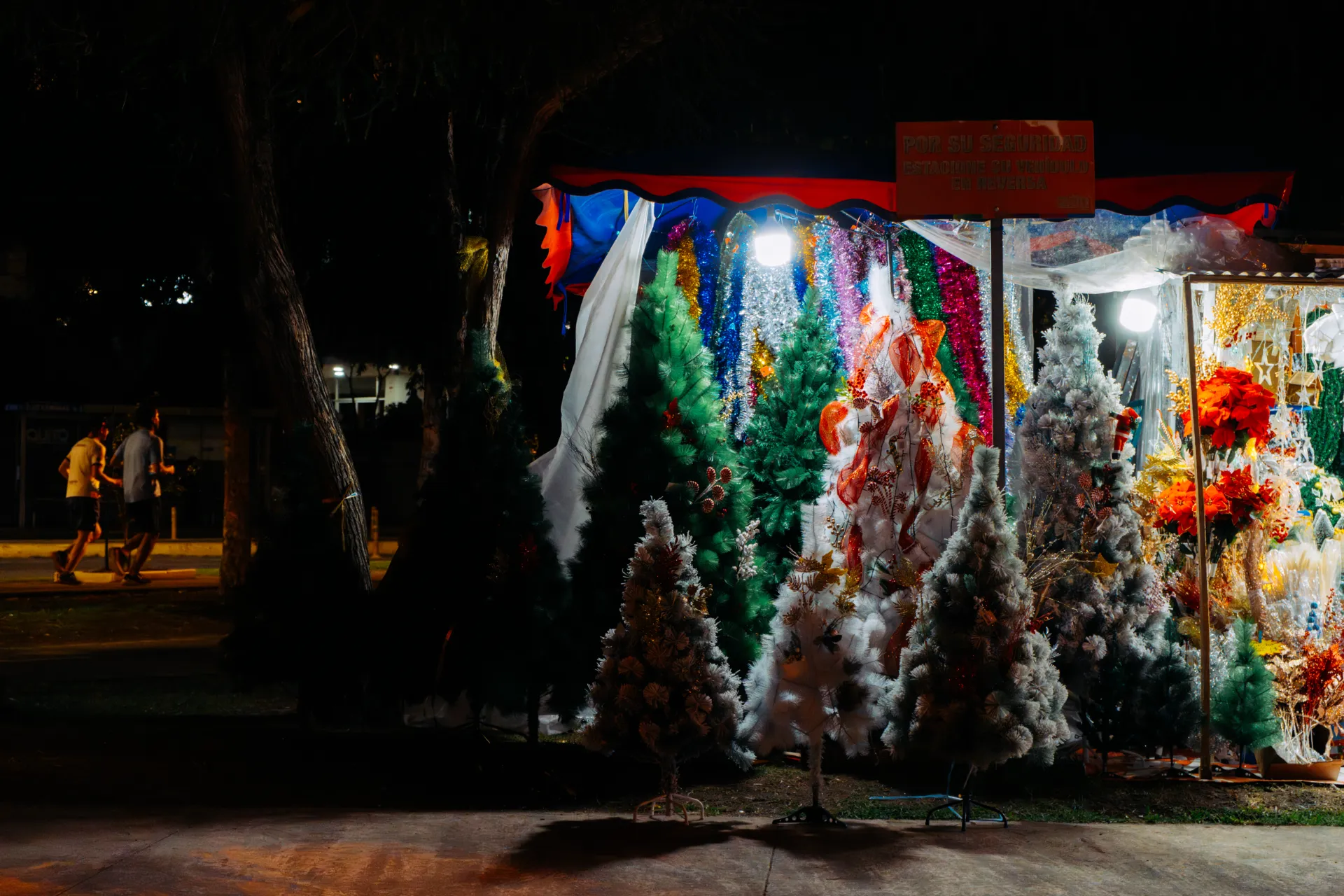 Dos corredores pasan detrás de árboles de Navidad en La Carolina Dos corredores pasan detrás de árboles de Navidad en La Carolina