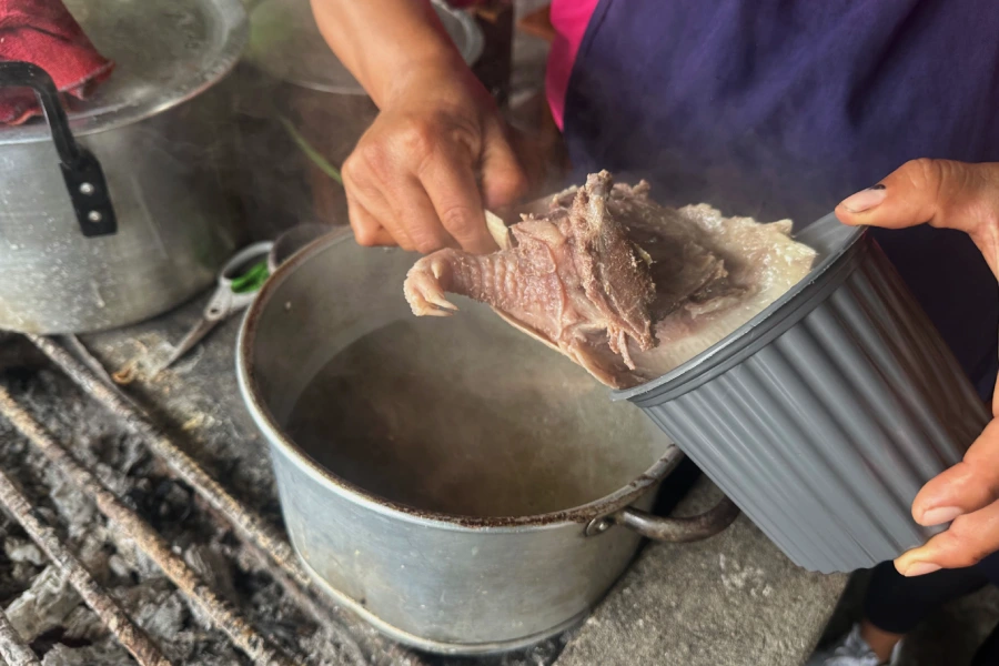 Sopa de armadillo