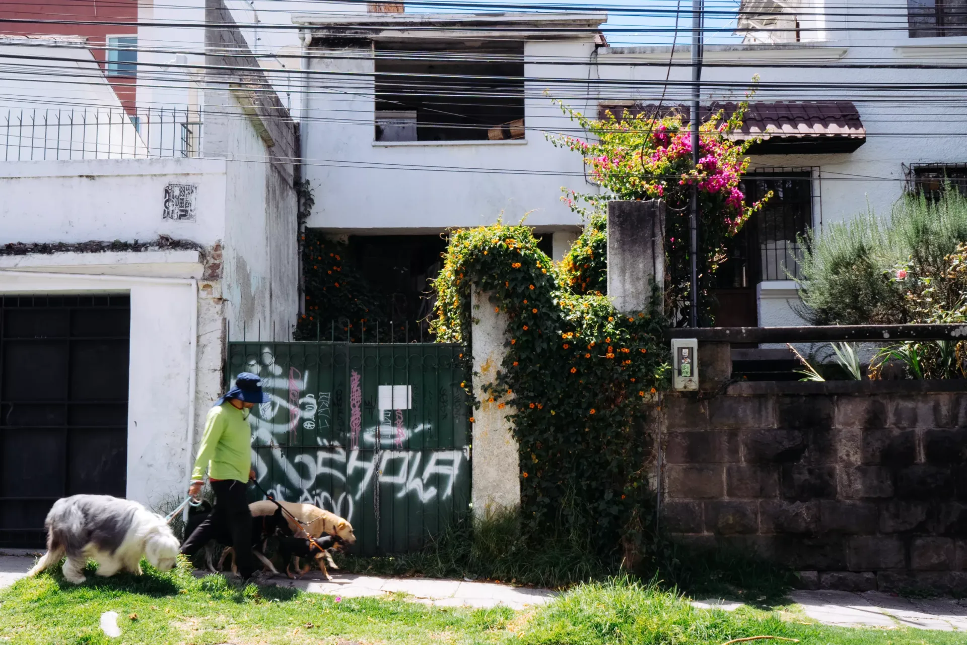 susanitas en una fachada susanitas en una fachada
