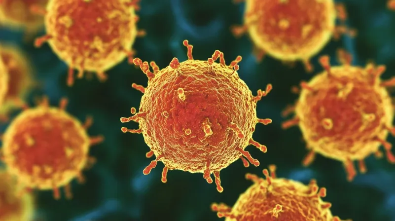 virus