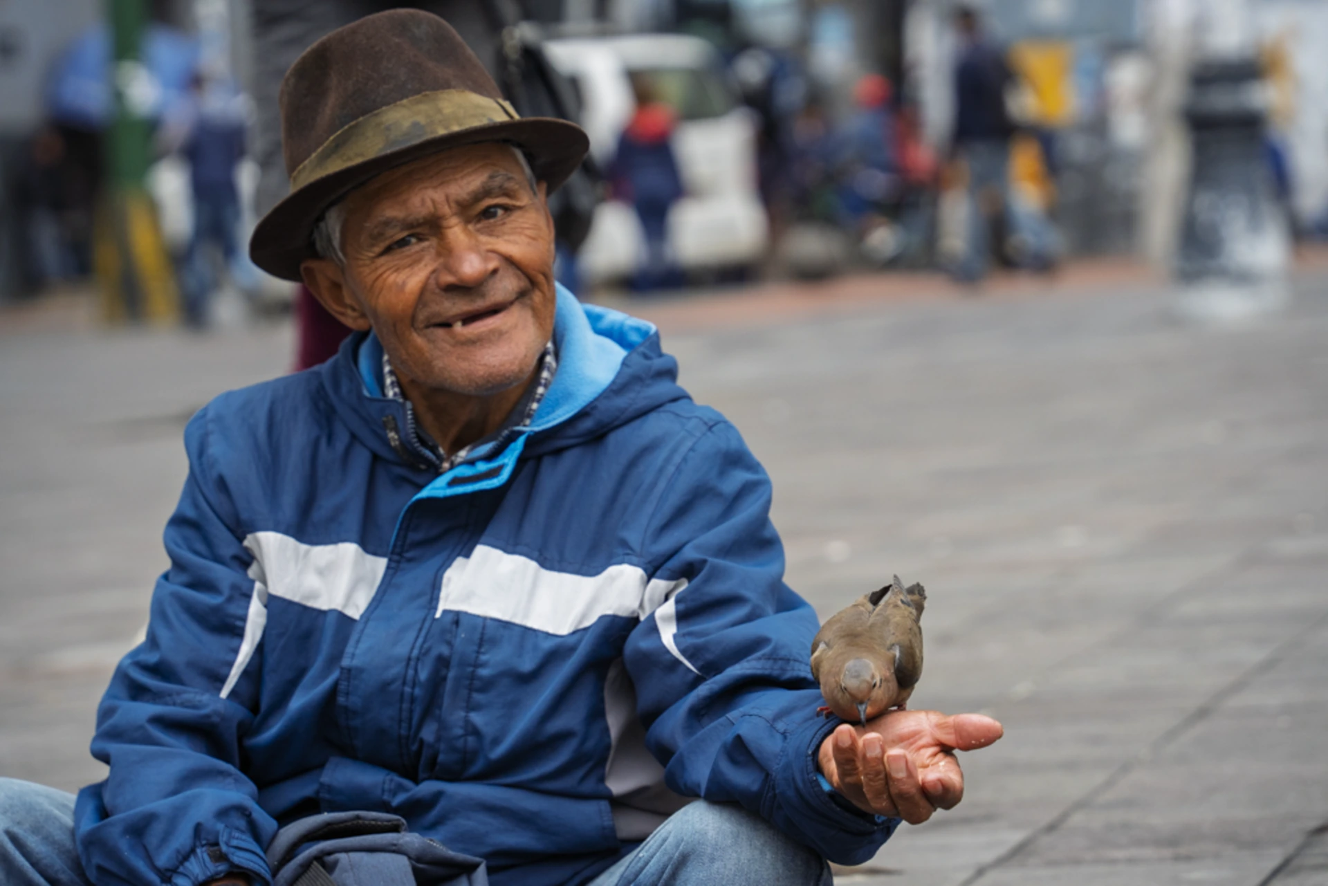 dar de comer a las palomas, eso hace Mario Alonso