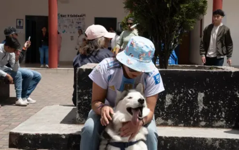 Los perros son mejores que los políticos. No hay duda