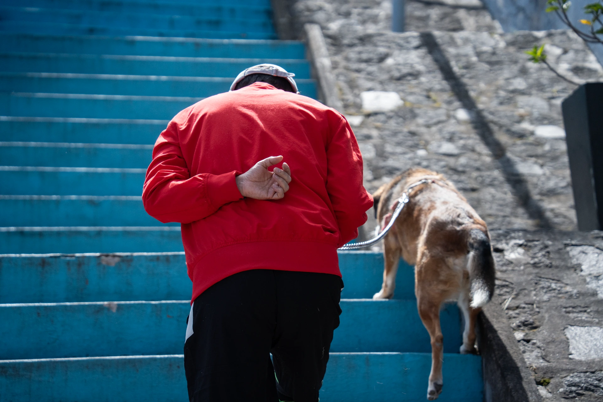 Un hombre pasea su perro en una escalinata Un hombre pasea su perro en una escalinata