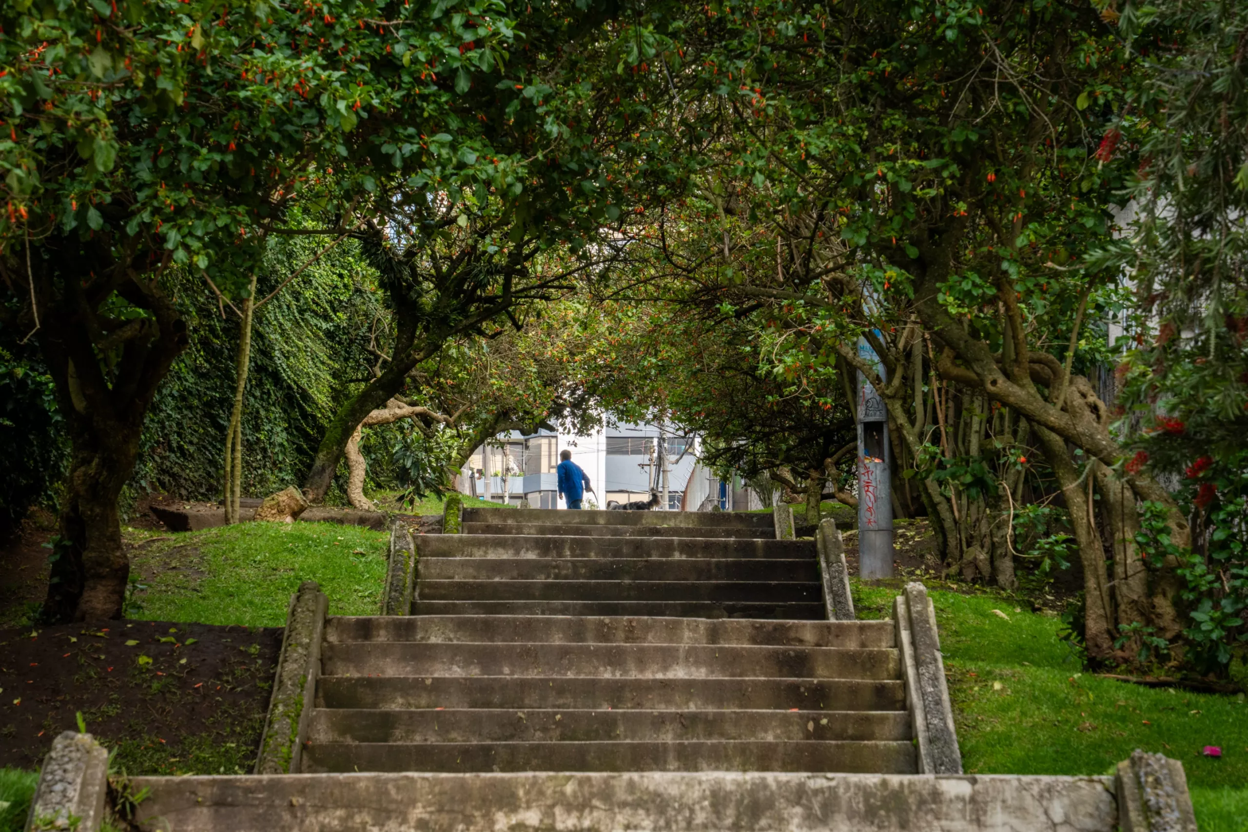 En la González Suárez, la gente usa las escalinatas En la González Suárez, la gente usa las escalinatas