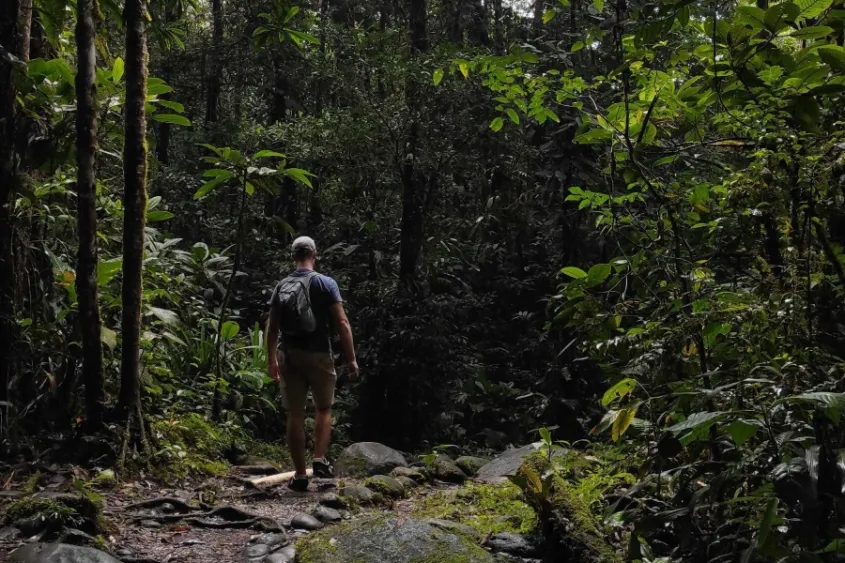 qué hacer si me pierdo en la naturaleza