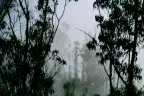 La neblina de Quito, omnipresente